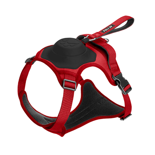 2in1 Pet Harness with Built-In Leash